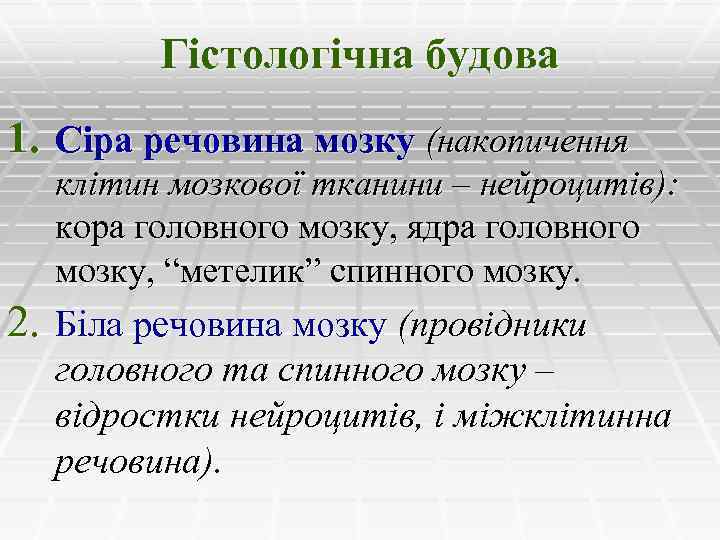 Гістологічна будова 1. Сіра речовина мозку (накопичення клітин мозкової тканини – нейроцитів): кора головного