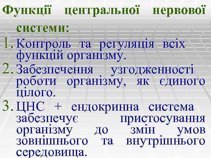 Функції центральної нервової системи: 1. Контроль та регуляція всіх функцій організму. 2. Забезпечення узгодженності