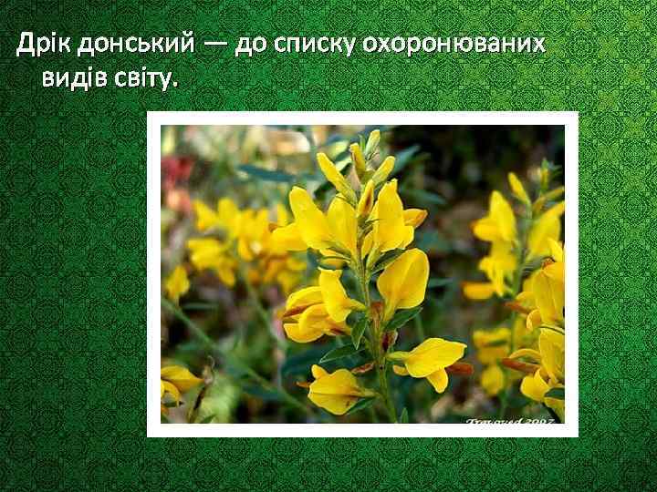 Дрік донський — до списку охоронюваних видів світу. 