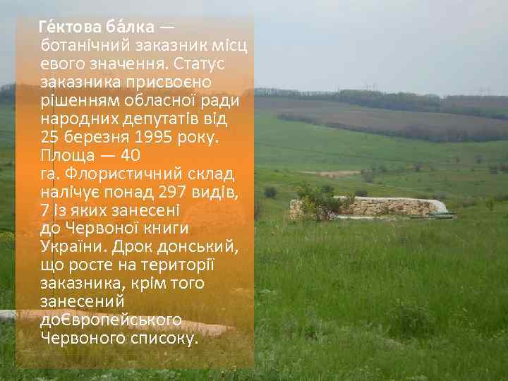 Ге ктова ба лка — ботанічний заказник місц евого значення. Статус заказника присвоєно рішенням