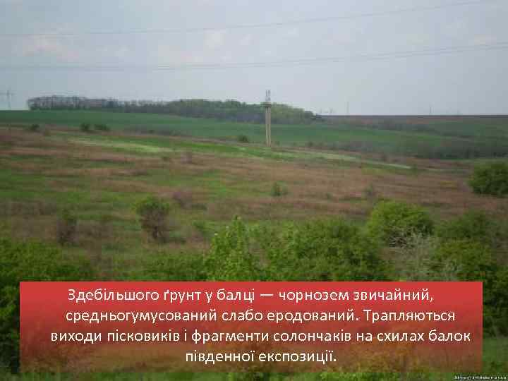 Здебільшого ґрунт у балці — чорнозем звичайний, средньогумусований слабо еродований. Трапляються виходи пісковиків і