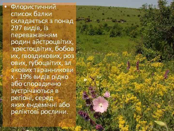  • Флористичний список балки складається з понад 297 видів, із переважанням родин айстроцвітих,