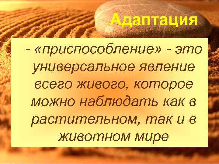 Адаптация - «приспособление» - это универсальное явление всего живого, которое можно наблюдать как в