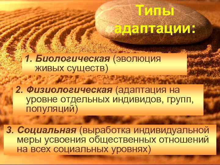 Типы адаптации: 1. Биологическая (эволюция живых существ) 2. Физиологическая (адаптация на уровне отдельных индивидов,
