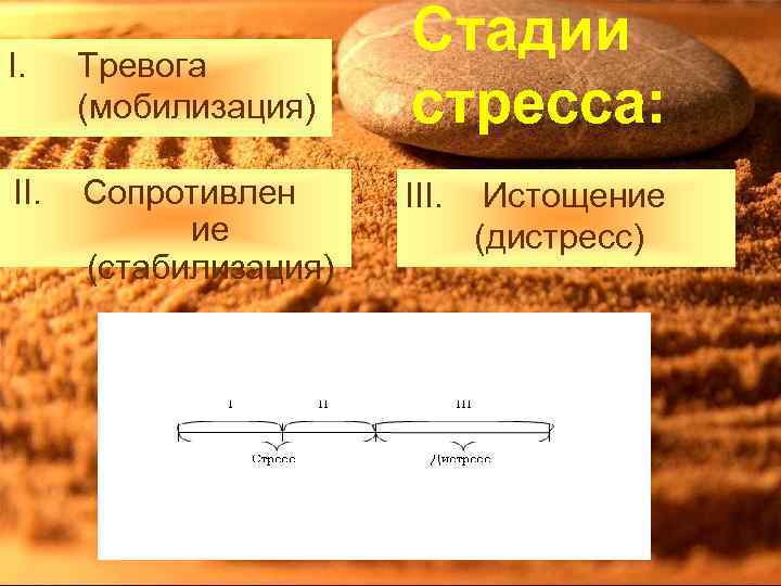 I. Тревога (мобилизация) II. Сопротивлен ие (стабилизация) Стадии стресса: III. Истощение (дистресс) 
