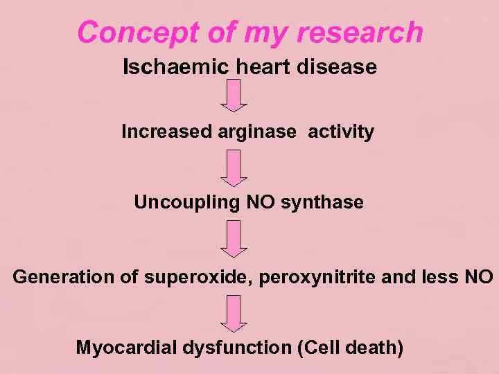 Concept of my research Ischaemic heart disease Increased arginase activity Uncoupling NO synthase Generation