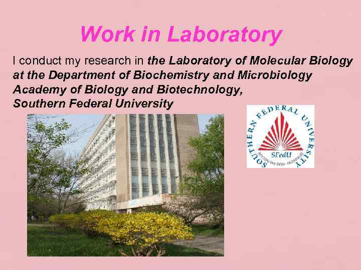 Work in Laboratory I conduct my research in the Laboratory of Molecular Biology at