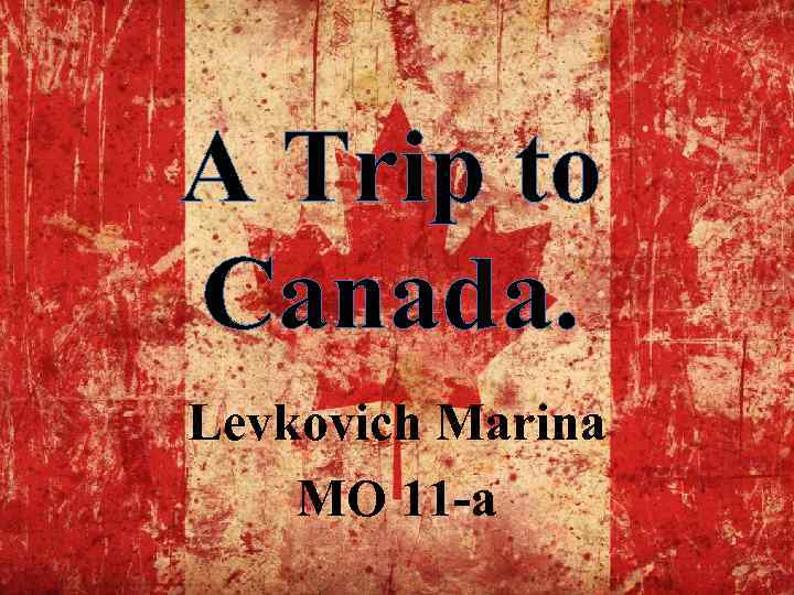 A Trip to Canada. Levkovich Marina MO 11 -a 