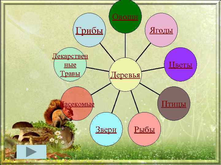 Овощи Грибы Лекарствен ные Травы Ягоды Цветы Деревья Птицы Насекомые Звери Рыбы 