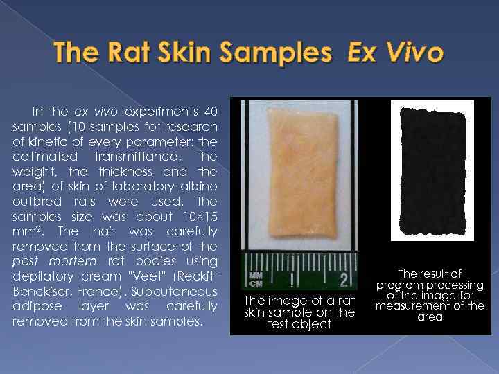 The Rat Skin Samples Ex Vivo In the ex vivo experiments 40 samples (10
