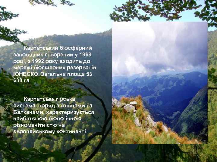 Карпа тський біосфе рний запові дник створений у 1968 році, з 1992 року входить