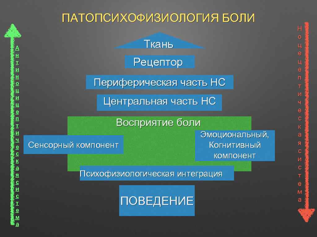 Исследования боли. Методы исследования боли. Болезненное восприятие. Когнитивный компонент боли. Индивидуальное восприятие боли.