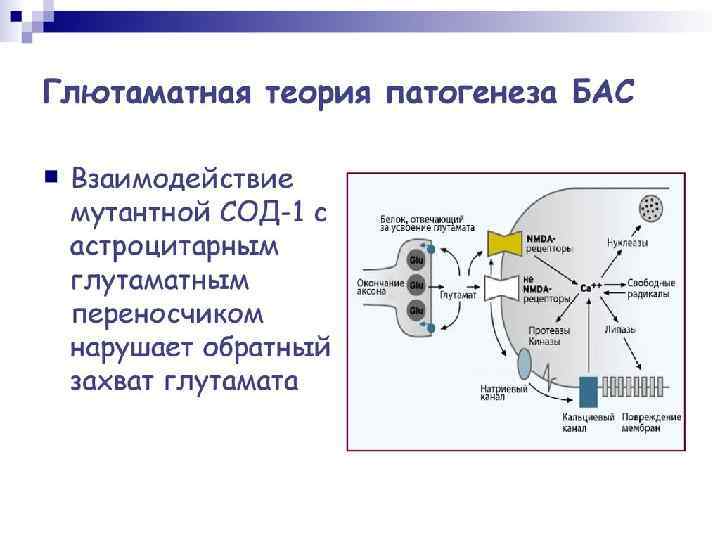 Лечение Рилузол- пресинаптический ингибитор высвобождения глутамата. В 2014 году в Японии, а в 2017