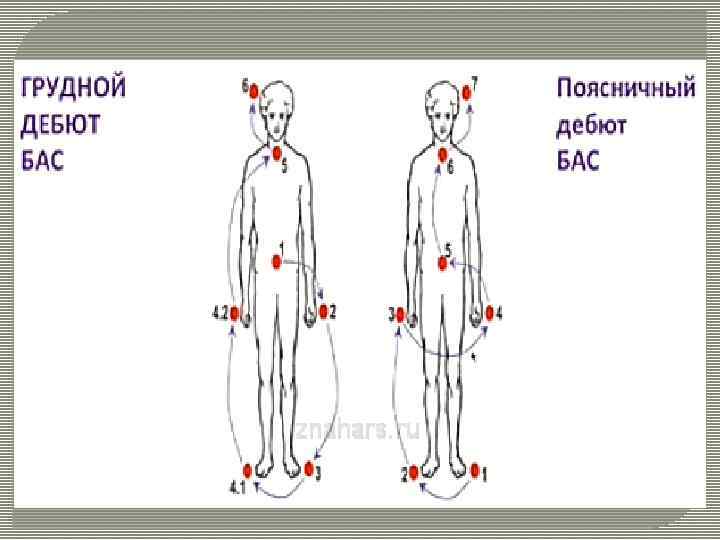 Классификация СЕВЕРОАМЕРИК АНСКАЯ: Спорадическая Семейная Западно-тихоокеанская ФОРМЫ Бульбарная Шейно-грудная Пояснично-крестцовая Первичногенерализованная Варианты: Смешанный (классический)