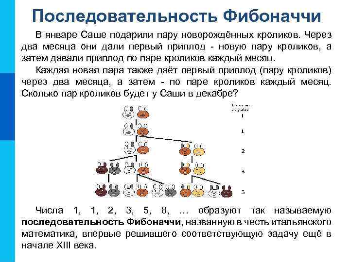 Последовательность Фибоначчи В январе Саше подарили пару новорождённых кроликов. Через два месяца они дали