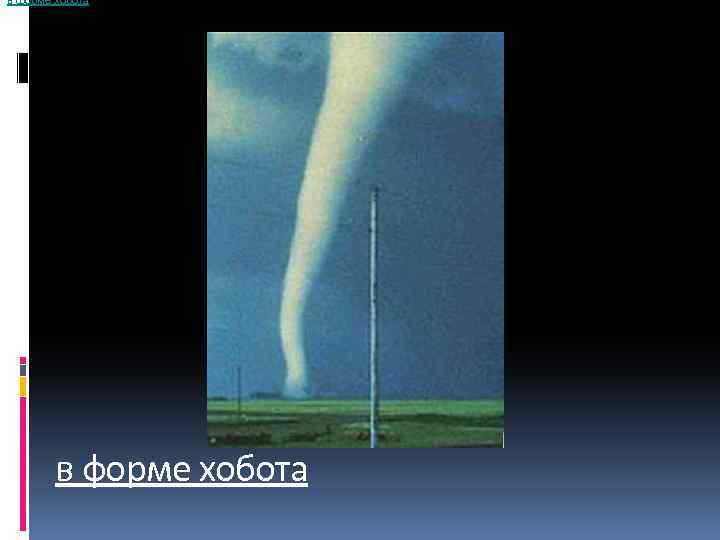 в форме хобота 