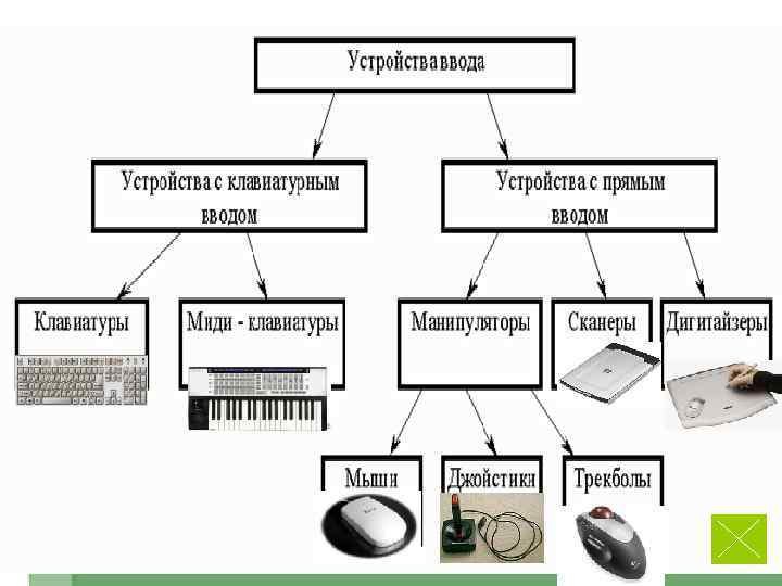 Какое устройство предназначено для ввода рисунков и рукописного ввода