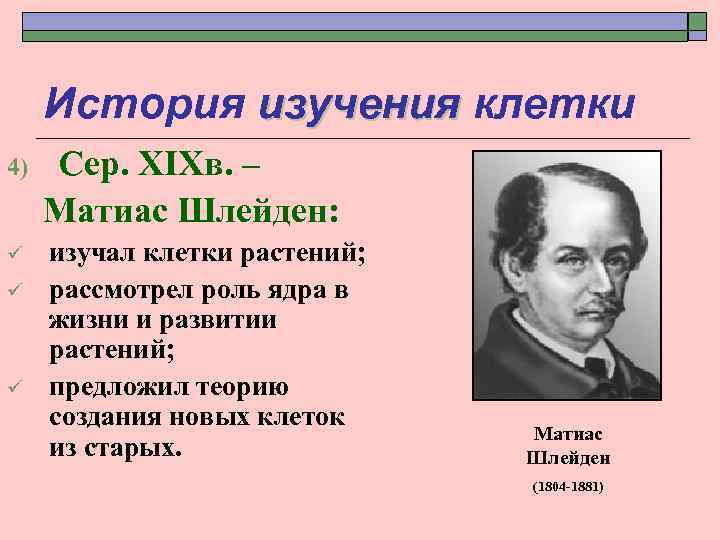 История изучения клетки 4) Сер. XIXв. – Матиас Шлейден: ü изучал клетки растений; рассмотрел