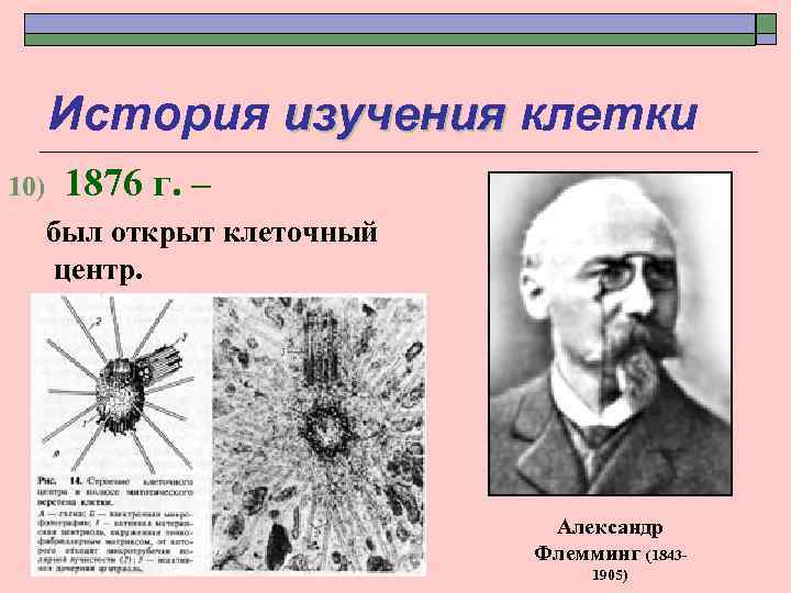 История изучения клетки 10) 1876 г. – был открыт клеточный центр. Александр Флемминг (18431905)