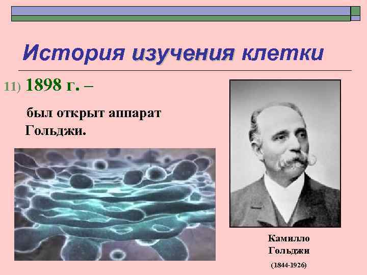История изучения клетки 11) 1898 г. – был открыт аппарат Гольджи. Камилло Гольджи (1844