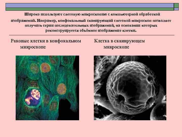 Широко используют световую микроскопию с компьютерной обработкой изображений. Например, конфокальный сканирующий световой микроскоп позволяет