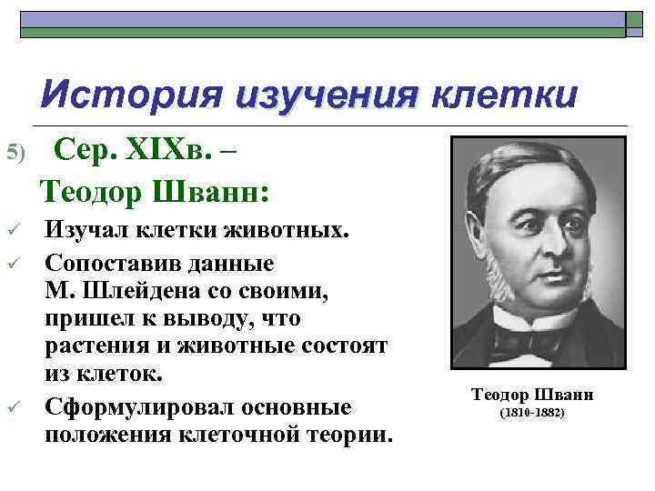 История изучения клетки 5) Сер. XIXв. – Теодор Шванн: ü Изучал клетки животных. Сопоставив