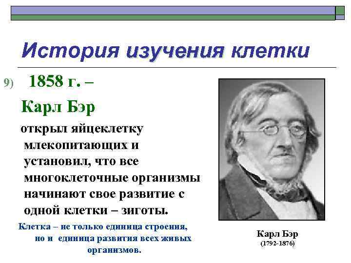 История изучения клетки 9) 1858 г. – Карл Бэр открыл яйцеклетку млекопитающих и установил,