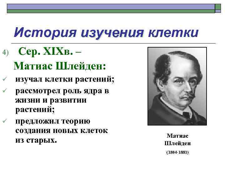 История изучения клетки 4) Сер. XIXв. – Матиас Шлейден: ü изучал клетки растений; рассмотрел