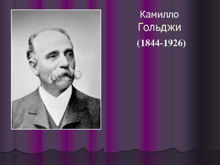 Камилло Гольджи (1844 -1926) 