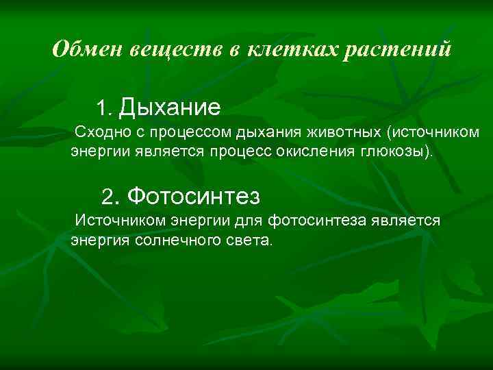 Обмен веществ в клетках растений 1. Дыхание Сходно с процессом дыхания животных (источником энергии