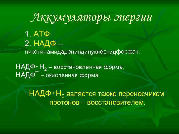 Аккумуляторы энергии 1. АТФ 2. НАДФ – никотинамидадениндинуклеотидфосфат: . НАДФ Н 2 – восстановленная