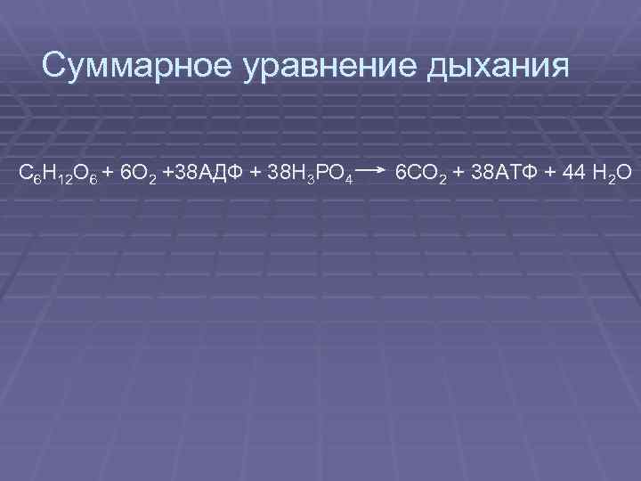 Суммарное уравнение дыхания С 6 Н 12 О 6 + 6 О 2 +38