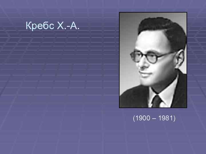 Кребс Х. -А. (1900 – 1981) 