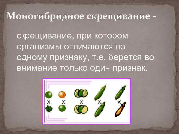 Моногибридное скрещивание, при котором организмы отличаются по одному признаку, т. е. берется во внимание