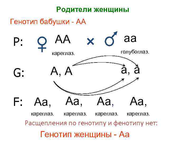 Родители женщины Генотип бабушки - АА аа АА Р: кареглаз. G: голубоглаз. А, А