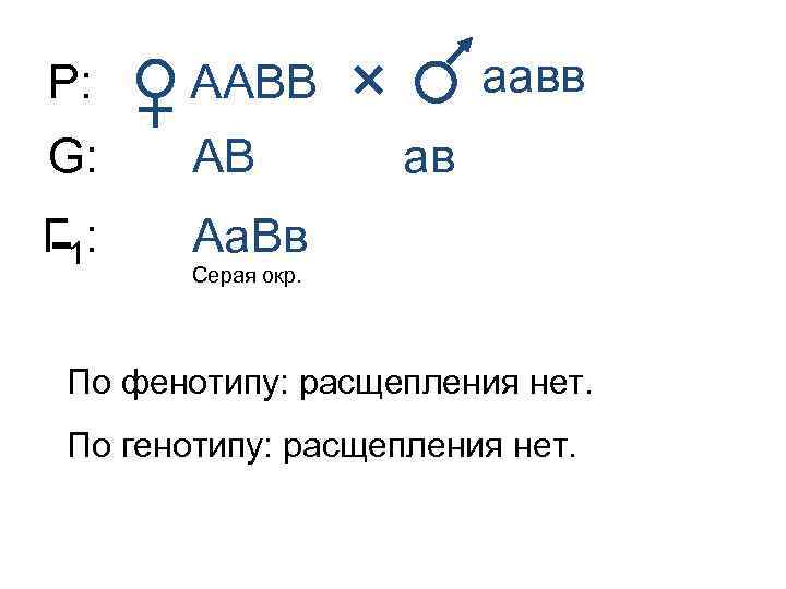 Р: G: АВ Г 1: аавв ААВВ Аа. Вв ав Серая окр. По фенотипу: