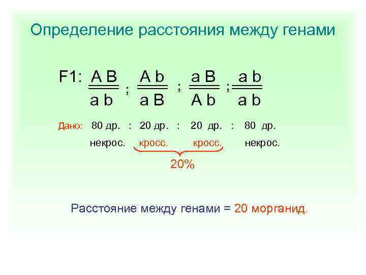 Определение расстояния между генами F 1: A B ab ; Ab a. B ;