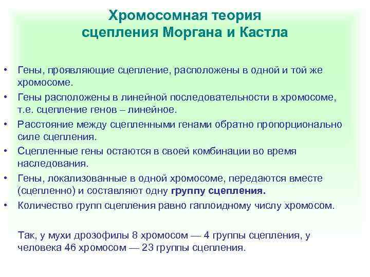 Хромосомная теория сцепления Моргана и Кастла • Гены, проявляющие сцепление, расположены в одной и