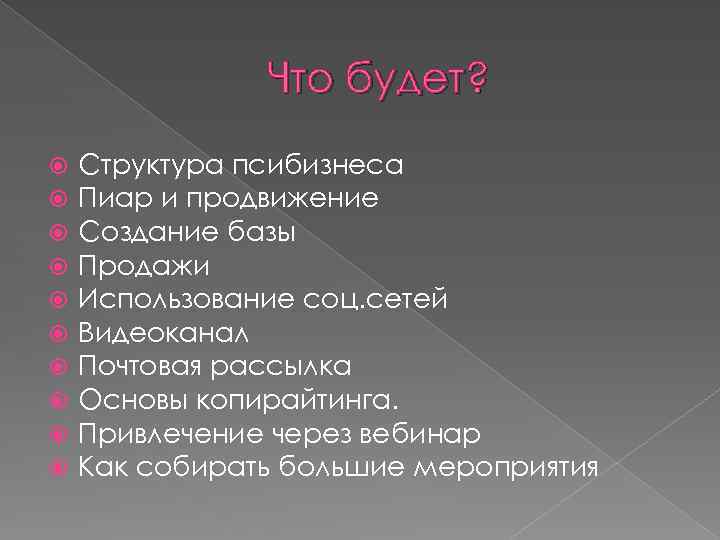 Что будет? Структура псибизнеса Пиар и продвижение Создание базы Продажи Использование соц. сетей Видеоканал