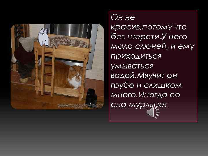 Он не красив, потому что без шерсти. У него мало слюней, и ему приходиться