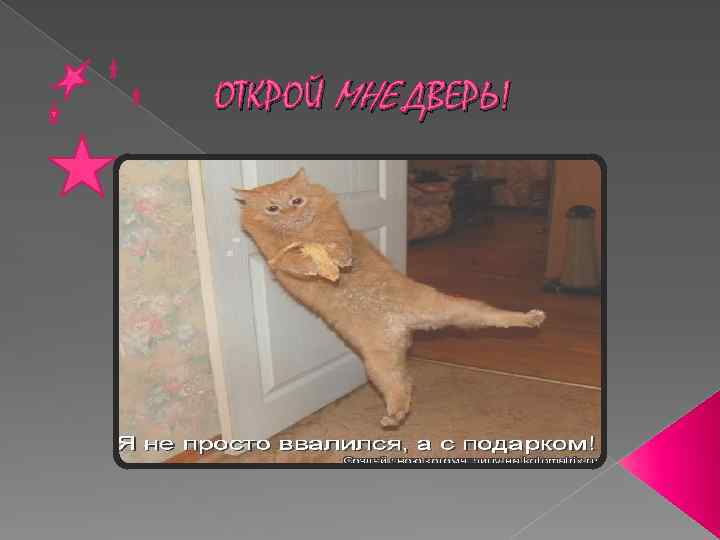 ОТКРОЙ МНЕ ДВЕРЬ!!! 