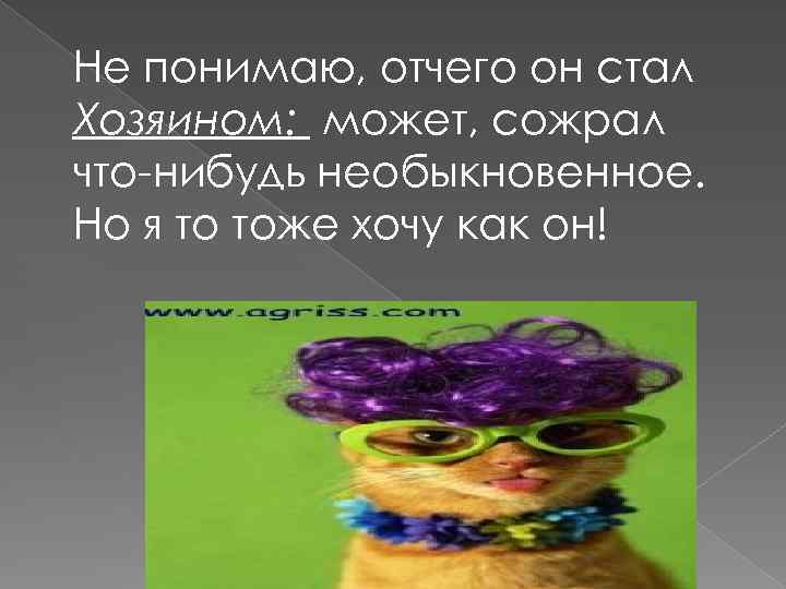 Не понимаю, отчего он стал Хозяином: может, сожрал что-нибудь необыкновенное. Но я то тоже