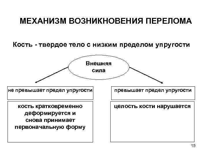 МЕХАНИЗМ ВОЗНИКНОВЕНИЯ ПЕРЕЛОМА Кость - твердое тело с низким пределом упругости Внешняя сила не