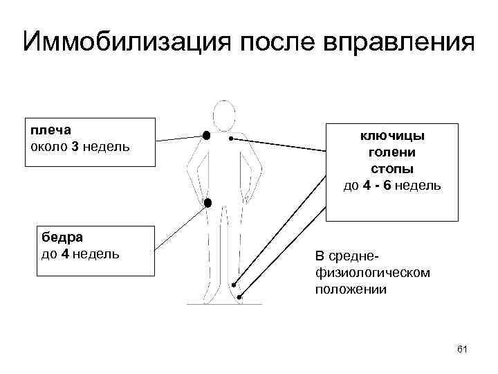 Иммобилизация после вправления плеча около 3 недель бедра до 4 недель ключицы голени стопы