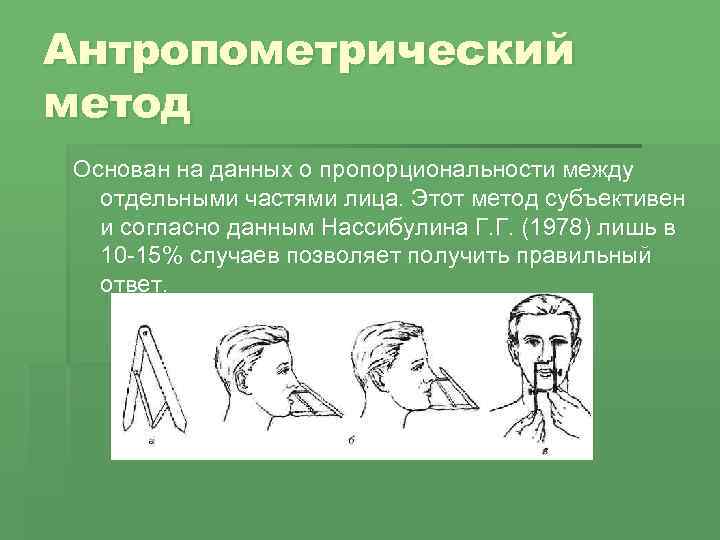 Антропометрический метод Основан на данных о пропорциональности между отдельными частями лица. Этот метод субъективен