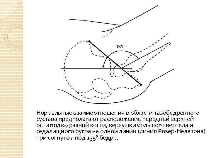 Предполагать располагать