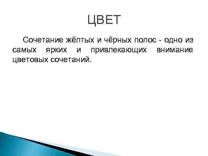 ЦВЕТ Сочетание жёлтых и чёрных полос - одно из самых ярких и привлекающих внимание