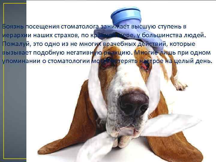 Боязнь посещения стоматолога занимает высшую ступень в иерархии наших страхов, по крайней мере, у