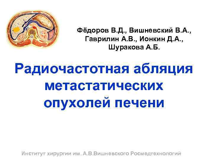 Фёдоров В. Д. , Вишневский В. А. , Гаврилин А. В. , Ионкин Д.
