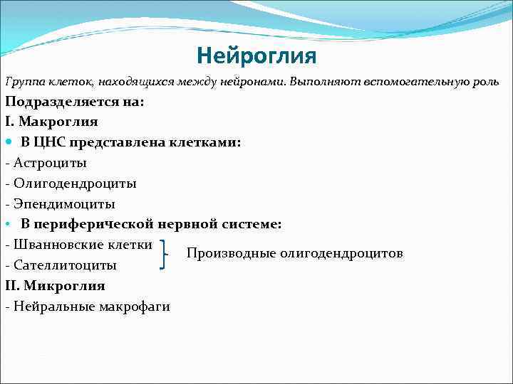 Нейроглия Группа клеток, находящихся между нейронами. Выполняют вспомогательную роль Подразделяется на: I. Макроглия В